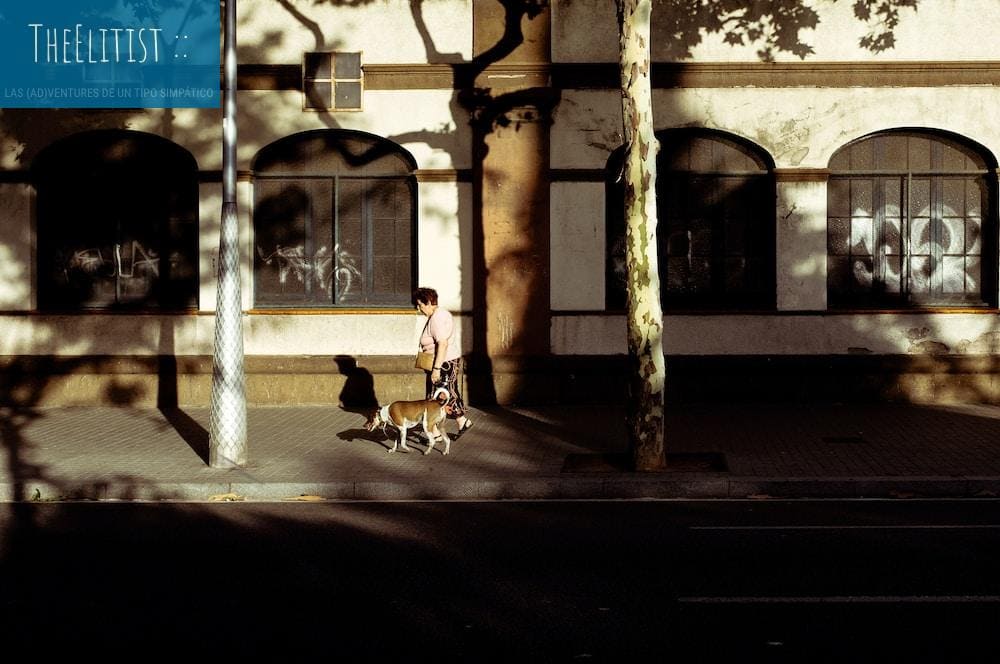 boy walking in the street with dog