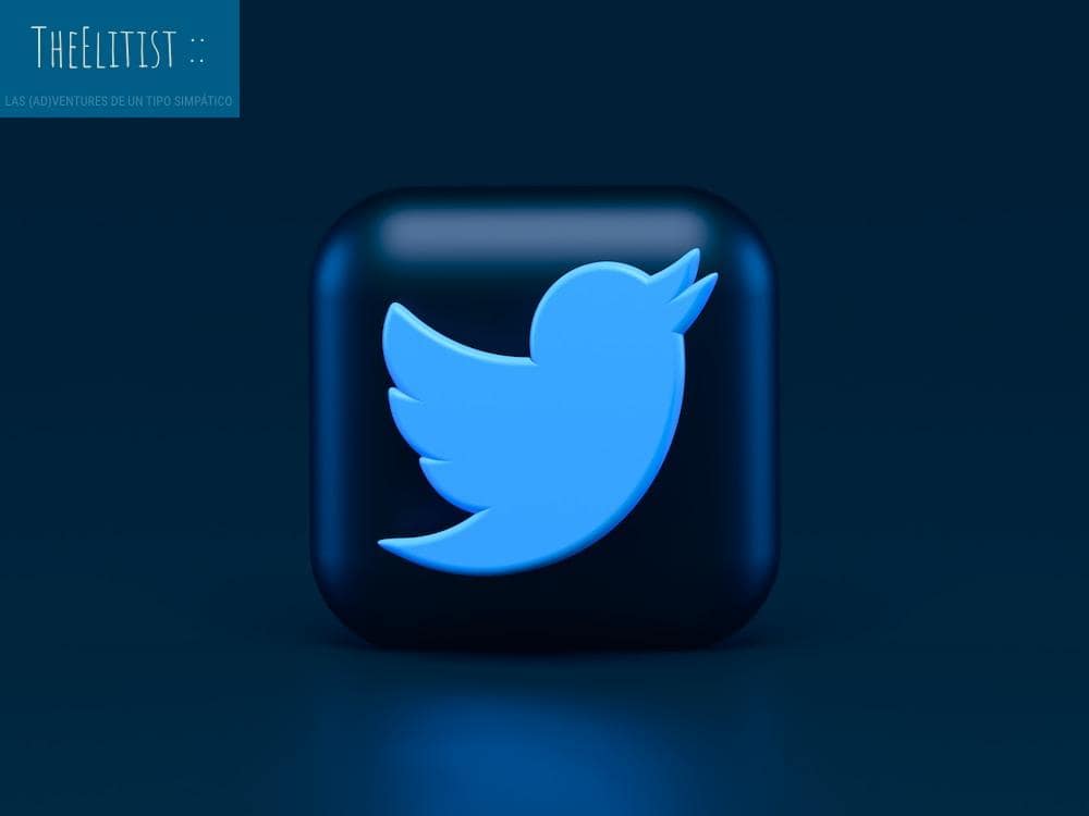 pajaro twitter