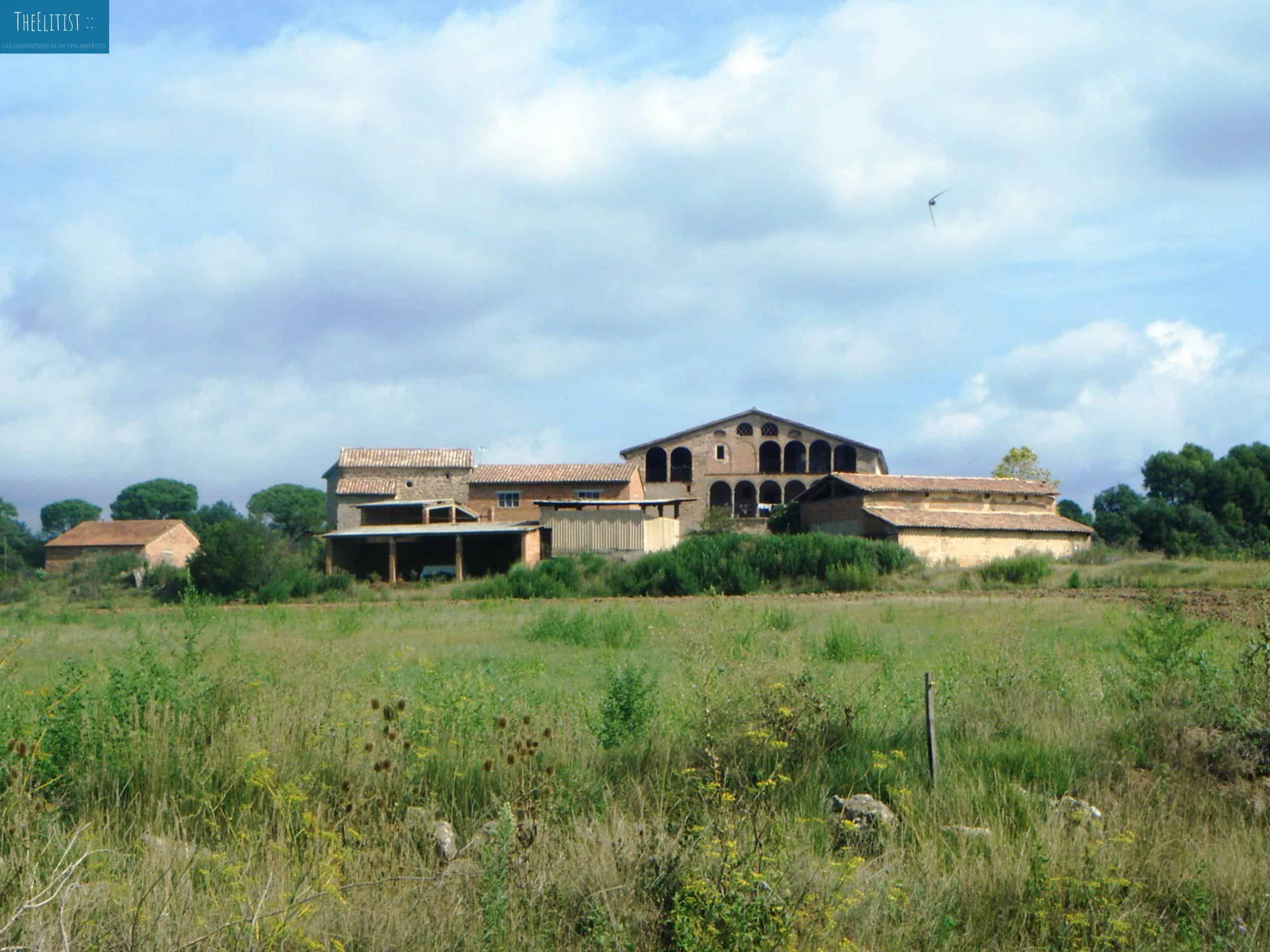 Masia